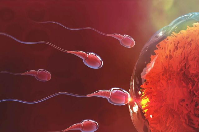 Clicca per accedere all'articolo La fertilità come bene salute