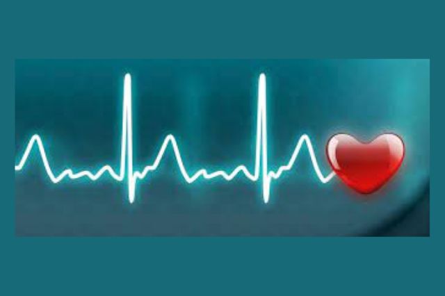 Clicca per accedere all'articolo Corso teorico pratico di rianimazione Cardiopolmonare - BLSD