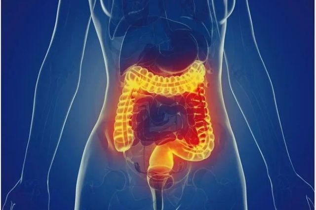 Clicca per accedere all'articolo LA REALTÀ DI AREA VASTA NELLA GESTIONE DELLE MALATTIE CRONICHE INTESTINALI (IBD): percorsi diagnostico terapeutici condivisi