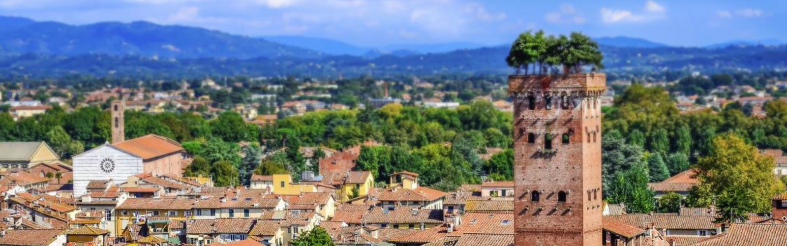 Clicca per accedere all'articolo Sabato 27 maggio in San Micheletto: "Aggiornamenti in chirurgia Parodontale"