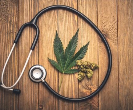 Clicca per accedere all'articolo Convegno OTGC su "Nuove prospettive di cura: focus sulla cannabis terapeutica"