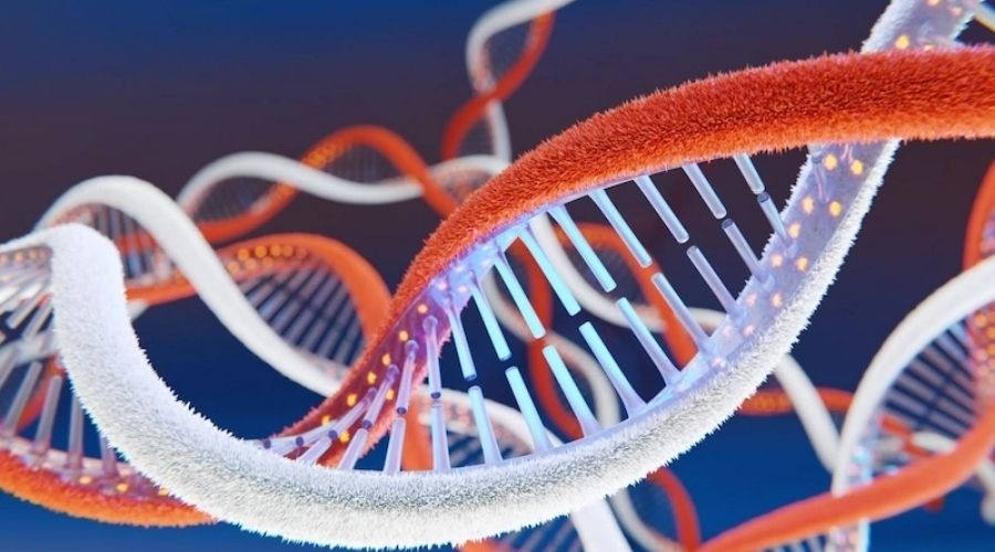 Clicca per accedere all'articolo Advances in Therapy